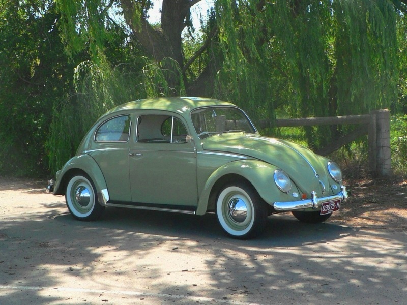  1960 Volkswagen