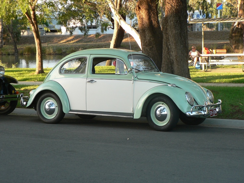1966 Volkswagen